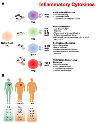 Genomic and Proteomic Study of the Inflammatory Pathway in Patients With Atrial Fibrillation and Cardiometabolic Syndrome